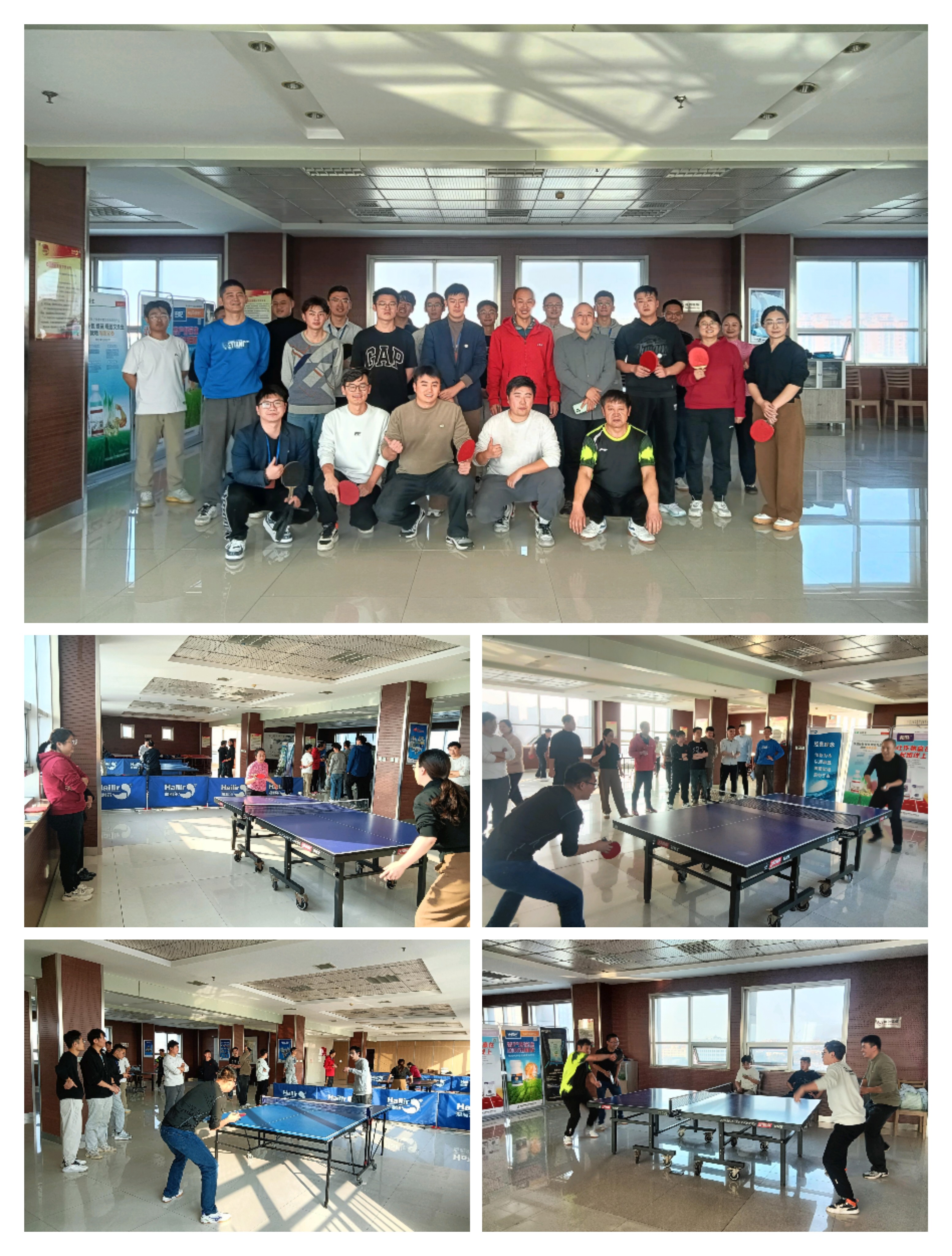 海利尔十一月“致敬耕耘 感恩回报”主题文化活动落地